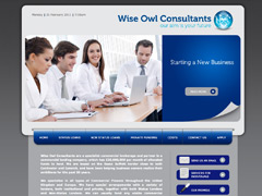 wise-owl-consultants.co.uk